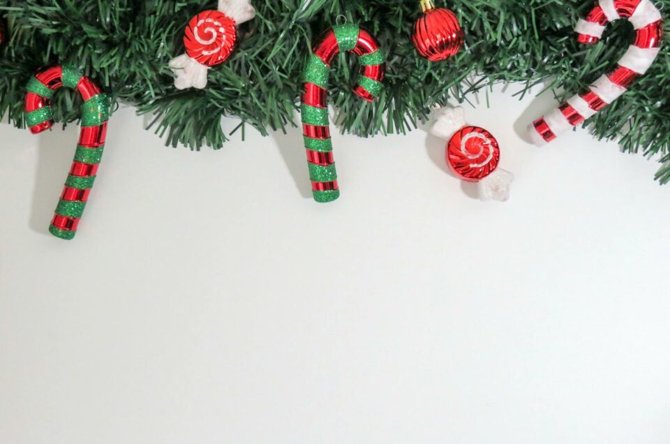 Le programme des stages de Noël est disponible !